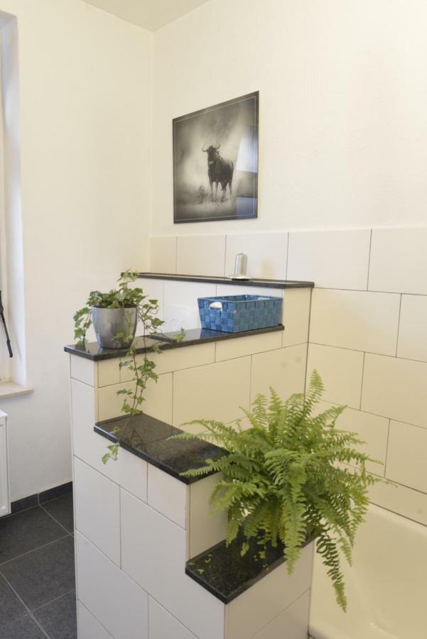 Kaiserliche Hofpost, Mit Whirlpool Und 2 Terrassen Шляйден Экстерьер фото
